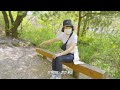 이젠 숲캉스가 대세🌳 서대문구 안산자락길로 오세요 [서대문TV 영상 크리에이터]