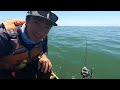 Commercial Fishing California Halibut from a Kayak (Good to be Back)