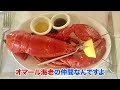 FRESHWATER LOBSTERS from a Japanese river【ENG SUB】