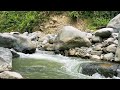 River Atmosphere | Calm Natural River Sounds for Sleeping and Relaxing | 1 hour