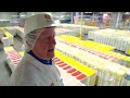 How 16 BILLION Jelly Beans are made EVERY YEAR | MEGA FACTORY