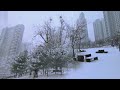 눈 오는날.아름다운 겨울풍경#천안#아름드리공원