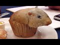 Someone baked A HAMSTER into my muffin!