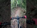 The smell of hot Brakes! Steep jungle trail on my Hardtail   -