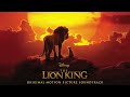 Hakuna Matata (From 