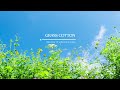 Piano performance with blue sky and refreshing summer l GRASS COTTON+