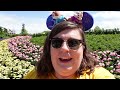 Best Time To Visit Disneyland Paris | Disneyland Paris November vs March vs May