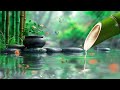 Relaxing Music for Healing + Water Sounds, Calm Piano Music, Meditation Music, Bamboo, Yoga, Spa