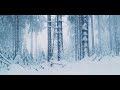 Cinematic Winter Video | Fujifilm XT-4 | XF 18-55mm Kit