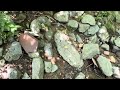 Examining Megalith on the Creek in Alamance County