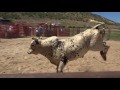Gary Leffew Bull Riding School Student Bull Riding Compilation (Part 2/2)