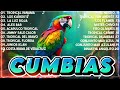 CUMBIAS TROPICALES💃CUMBIAS TROPICAL PARA BAILAR✨MUSICA CUMBIAS EXITOS 2024