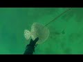 In The Moment - Ep. One - Spearfishing