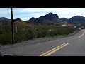 Amazing Wildflowers Near Oatman, Arizona!