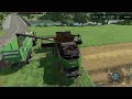 HARVESTING WHEAT WITH FENDT 9490 X | Animals on Haut-Beyleron | Farming Simulator 22 | Episode 161