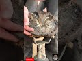 Shire Horse - Hoof Trimming Satisfying Compilation