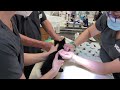 21. Subcutaneous Injection - Cat