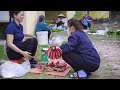 How to harvest Red Banana & Goes to the Market sell -Harvesting and Cooking | Daily Life