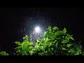 Rain 🌧️ Drops in Slow 🦥 Motion 🤘😞 #slowmotion #rainsounds #rain #monsoon