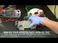 How to Run a Gel Electrophoresis? #4b #Tutorial