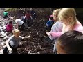 Bog jumping at Causey Farm, video 1.