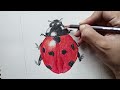Ladybug drawing easy| ladybug drawing for kids| ladybug drawing cute