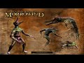 Defeating Umbra at Level 1 (Morrowind)