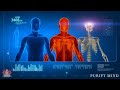 Frequency Of Recovery And Healing | Whole Body Regeneration | Repair DNA - 528Hz