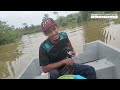 More Asia Catfish! So Satisfied! | Kembali Menajur Ikan Baung