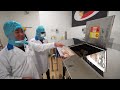 Inside Qatar Airways - How do they make 200,000 Airplane Meals a day?