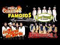 Puros Corridos Exitos Mix 2024 -  Los Tucanes De Tijuana, Los Tigres Del Norte, Grupo Exterminador