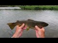 INCREDIBLE Dry Fly Fishing on Delaware's West Branch, 