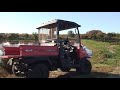 Cranberry Harvest: From Bog to Table