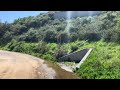 There are deer up in the Hollywood Reservoir??