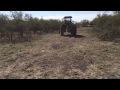 Huisache & Mesquite removal - Dougherty Turbo Saw & JD 6403 - Part 1