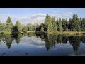 Beautiful Relaxing Music with Birds Singing in the Nature | Relaxing Music for Stress Relief