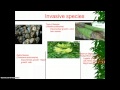 Threats to Biodiversity