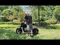 M11 Citycoco Electric Scooter 3000W Max Speed 80km/h, 60V 20AH/40AH Battery