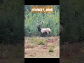 Muzzleloader Elk Hunt- October 7, 2023