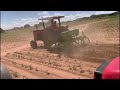 Cultivo de frijol con Massey Ferguson 2685 turbo y 390 E.