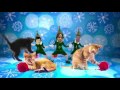 Check out my ElfYourself Dance!