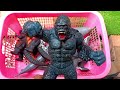 ALL KAIJU MONSTERS Godzilla,King kong,Skullcrawler,Shimo,Warbat,Megaguirus