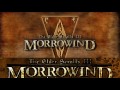 A Perfect Character - Morrowind Mechanics