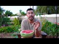 6 Watermelon Growing Mistakes To Avoid 🍉