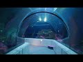 Aquarium du Québec Winter 2024 | Sony fx30
