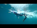 7 Things You Need For Your First Open Water Swim | Essential Tips For Open Water Swimming