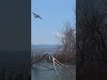 Planes collecting water from Chatfield Reservoir to fight the Quarry 🔥