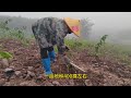 Turn over the ground to turn out the wood gold, but missed 48000 yuan, let a person shoot thigh# ou