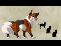 Top 10 MOST EVIL Warrior Cats Characters