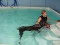 Doberman Pinscher Swimming Lesson at Healing Waters CE